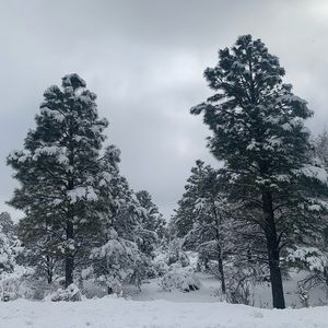 Meet your Posher, Lola